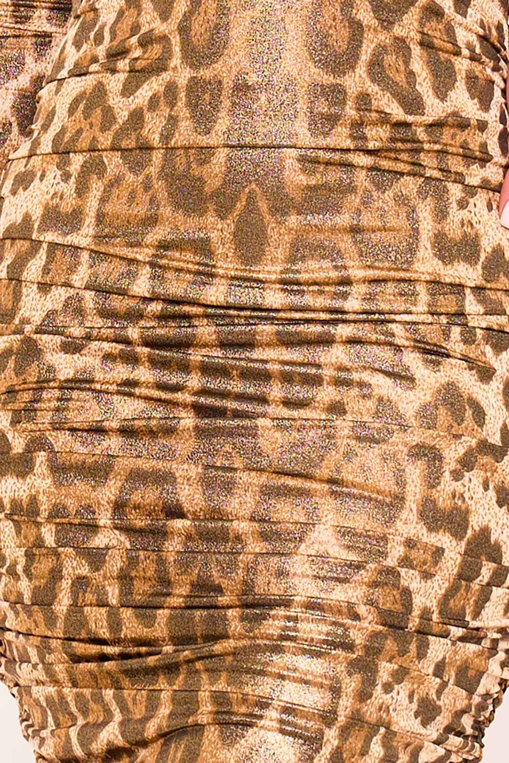 Leopard Print Plunging V-neck Long Sleeve Midi Dress