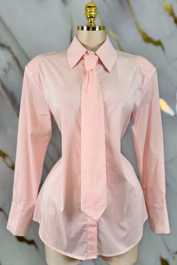 collared neck tie blouse
