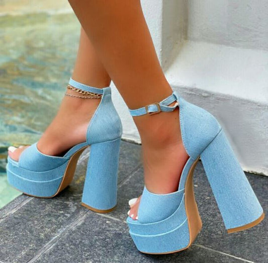 platform chunky heel shoe