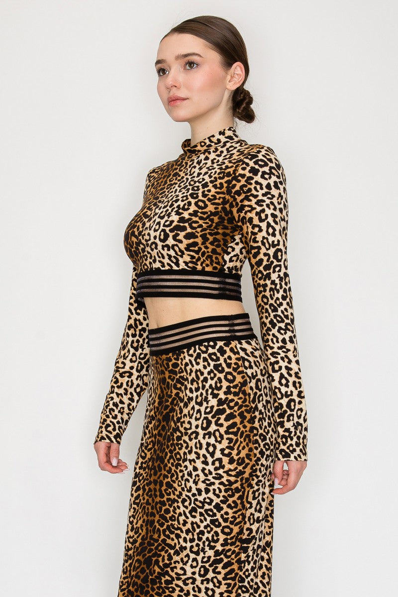Sheer Stripe Long Sleeve Crop Top