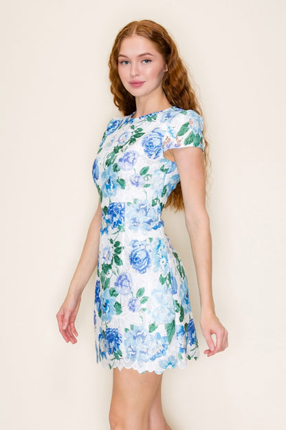 Floral Lace Cap Sleeve Mini Dress