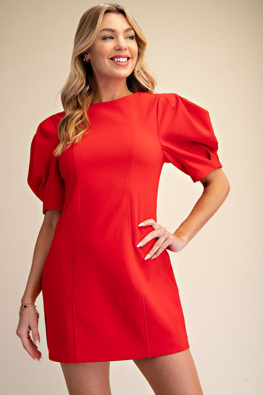 Round Neck Balloon Sleeve Mini Dress