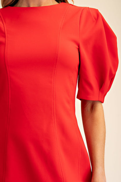 Round Neck Balloon Sleeve Mini Dress