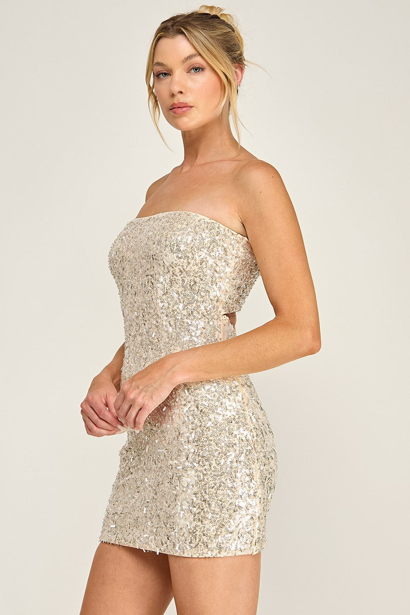 Mesh W/ Beads Sequin Strapless Mini Dress