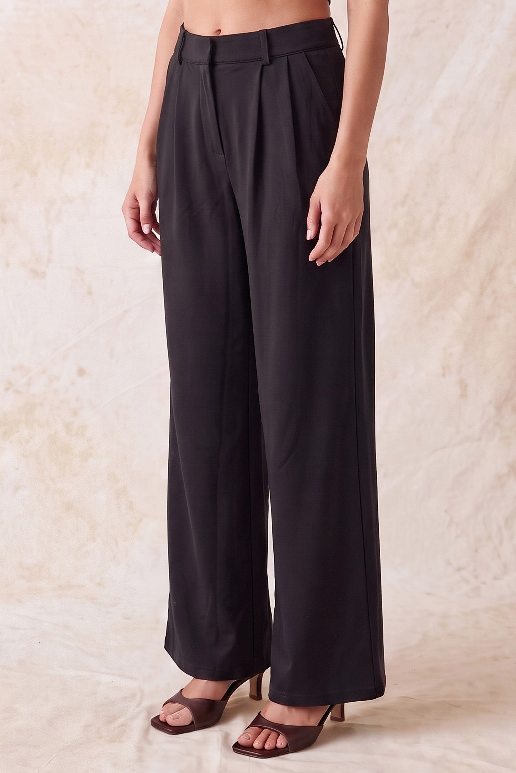 Double Pleat Wide Leg Pants
