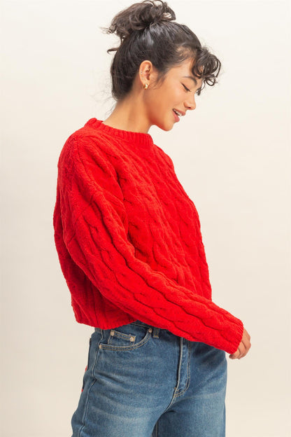 Textured Crew Neck Cable Knit Sweater